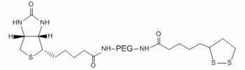 硫辛酸 PEG 生物素, LA-PEG-生物素,Lipoic acid PEG Biotin, LA-PEG-Biotin