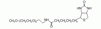 PEG 生物素, mPEG-生物素,PEG Biotin, mPEG-Biotin