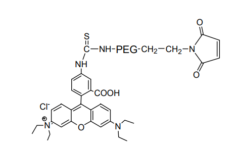 罗丹明 PEG 马来酰亚胺,Rhodamine PEG Maleimide