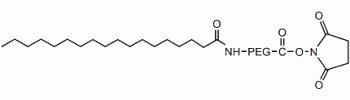 硬脂酸 PEG N-羥基琥珀酰亞胺,Stearic acid PEG NHS