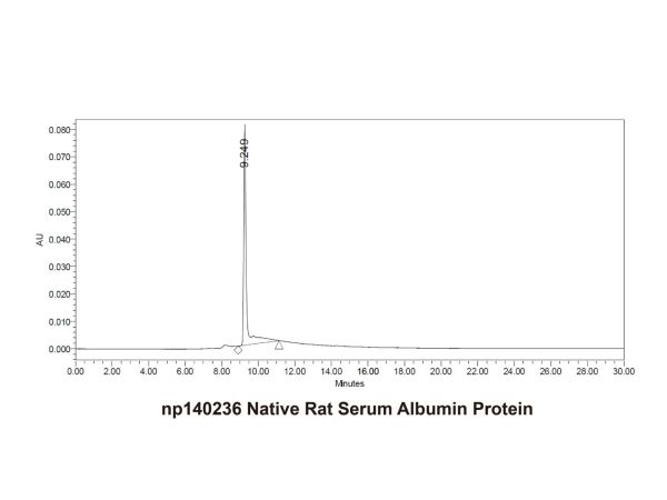 Native Rat Serum Albumin Protein,Native Rat Serum Albumin Protein