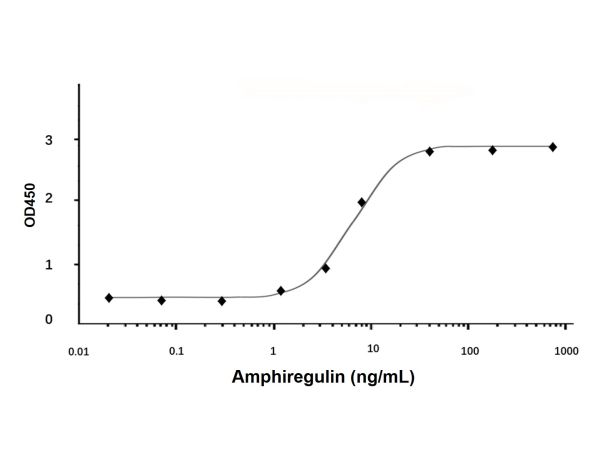 Recombinant Human Amphiregulin Protein,Recombinant Human Amphiregulin Protein