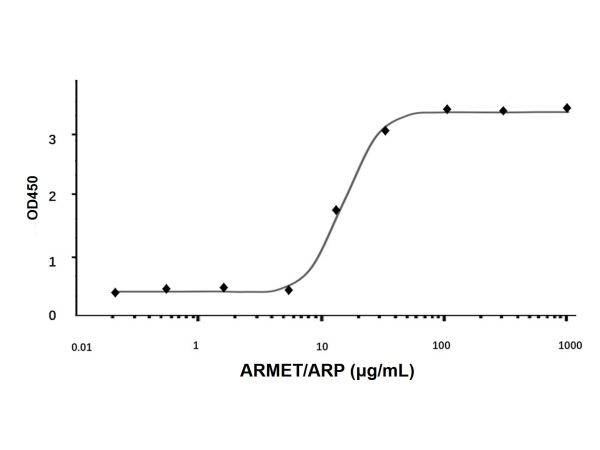 Recombinant Human ARMET/ARP Protein,Recombinant Human ARMET/ARP Protein