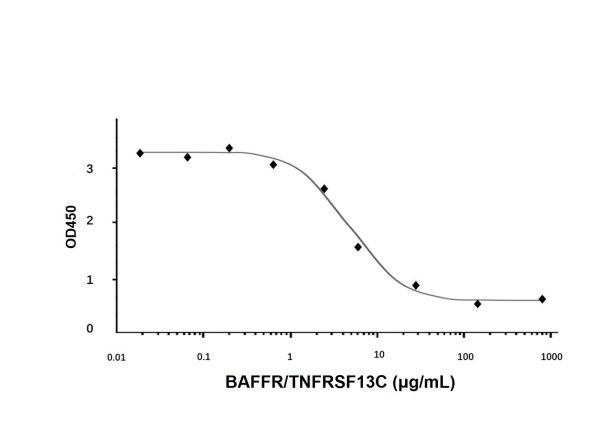 Recombinant Human BAFFR/TNFRSF13C Protein,Recombinant Human BAFFR/TNFRSF13C Protein