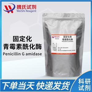 固定化青霉素酰化酶,Penicillin G amidase