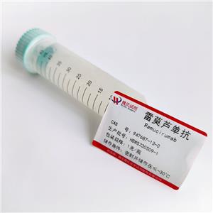 雷莫芦单抗,Ramucirumab