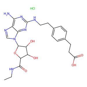 aladdin 阿拉丁 C288822 CGS 21680 盐酸盐 124431-80-7 ≥98%(HPLC)