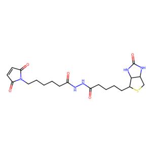 aladdin 阿拉丁 B302263 生物素-马来酰亚胺 116919-18-7 ≥95%