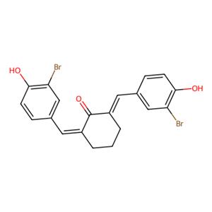 组蛋白乙酰转移酶抑制剂II,Histone Acetyltransferase Inhibitor II