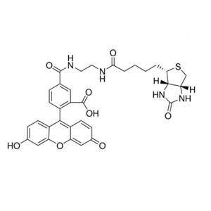 生物素（5-荧光素）缀合物,Biotin (5-fluorescein) conjugate