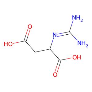 aladdin 阿拉丁 G304140 2-胍基琥珀酸 6133-30-8 ≥98%