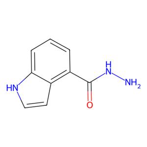 aladdin 阿拉丁 H331524 1H-吲哚-4-羧酸酰肼 885272-22-0 98%