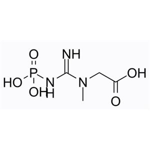 aladdin 阿拉丁 P333235 磷酸肌酸 67-07-2 ≥92%