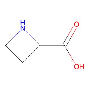 aladdin 阿拉丁 A422868 氮杂环丁烷-2-羧酸 2517-04-6 10mM in Water
