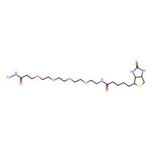 aladdin 阿拉丁 B304563 生物素-PEG4-酰肼 756525-97-0 ≥94%