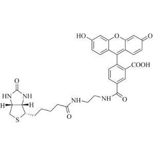 生物素-4-荧光素,Biotin-4-fluorescein