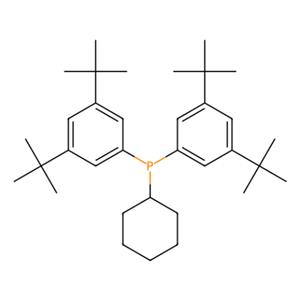 aladdin 阿拉丁 B282261 双（3,5-二叔丁基苯基）环己基膦 2097604-67-4 98%