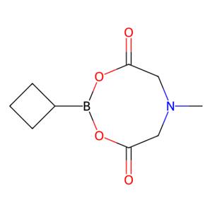 环丁基硼酸 MIDA 酯,Cyclobutylboronic acid MIDA ester