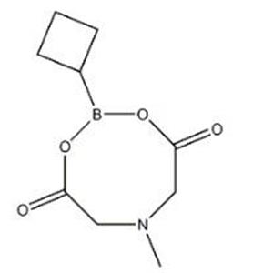 环丁基硼酸 MIDA 酯,Cyclobutylboronic acid MIDA ester