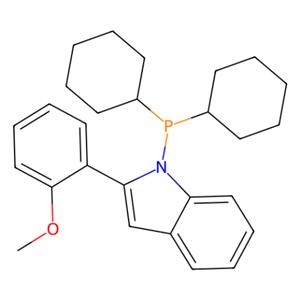 aladdin 阿拉丁 D281971 1-(二环己基膦基)-2-(2-甲氧苯基)-1H-吲哚 947402-60-0 98%