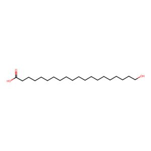aladdin 阿拉丁 H589703 20-羟基二十烷酸 62643-46-3 98%