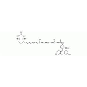 aladdin 阿拉丁 B163339 生物素-PEG-荧光素，生物素-PEG-FITC MW 3400 Da