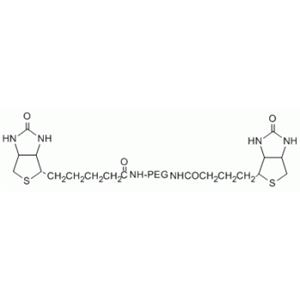 生物素-PEG-生物素,Biotin-PEG-Biotin