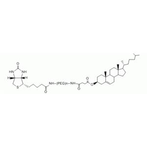 胆固醇 PEG 生物素, CLS-PEG-生物素,Cholesterol PEG Biotin, CLS-PEG-Biotin