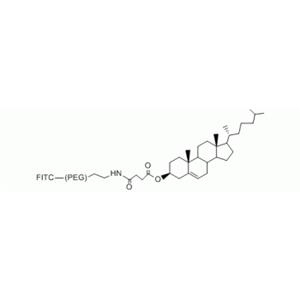 膽固醇 PEG FITC,Cholesterol PEG FITC