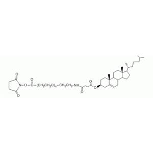 膽固醇 PEG N-羥基琥珀酰亞胺, CLS-PEG-NHS,Cholesterol PEG NHS, CLS-PEG-NHS