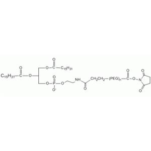 L-磷脂酰乙醇胺 PEG N-羟基琥珀酰亚胺,DPPE PEG NHS