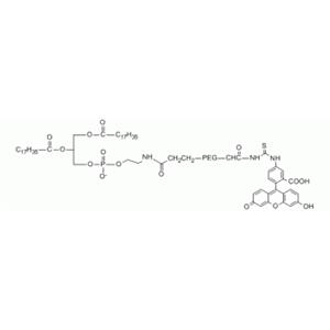 DSPE PEG Fluorescein, DSPE-PEG-FITC,DSPE PEG Fluorescein, DSPE-PEG-FITC