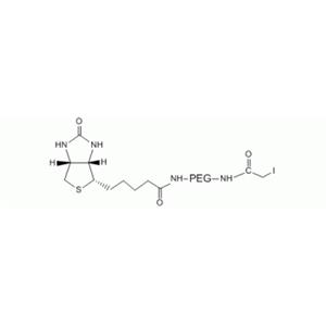 碘代乙酰基 PEG 生物素, IA-PEG-生物素,Iodoacetyl PEG Biotin, IA-PEG-Biotin