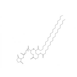 磷脂酰丝氨酸 PEG N-羟基琥珀酰亚胺, PS-PEG-NHS,Phosphatidylserine PEG NHS, PS PEG NHS