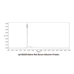 Native Rat Serum Albumin Protein,Native Rat Serum Albumin Protein