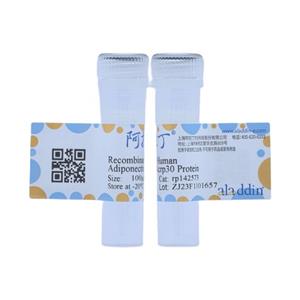 Recombinant Human Adiponectin/Acrp30 Protein,Recombinant Human Adiponectin/Acrp30 Protein