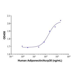 Recombinant Human Adiponectin/Acrp30 Protein,Recombinant Human Adiponectin/Acrp30 Protein