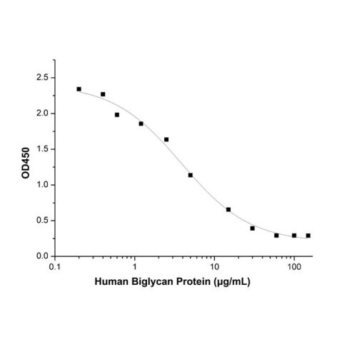 Recombinant Human Biglycan Protein,Recombinant Human Biglycan Protein