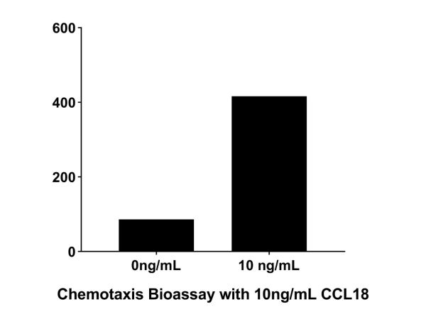 Recombinant Human CCL18 Protein,Recombinant Human CCL18 Protein