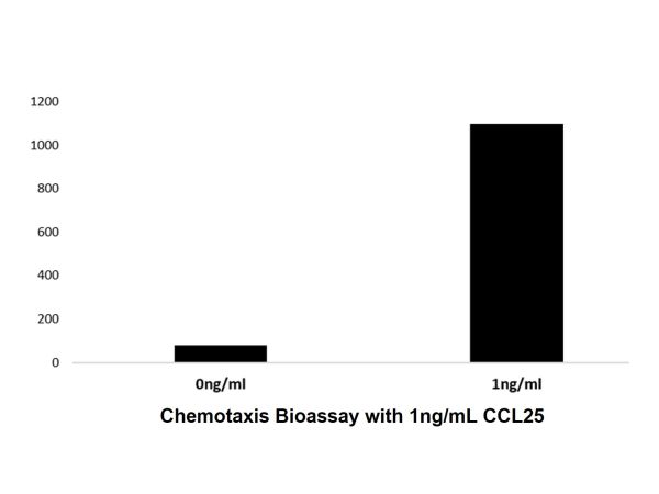 Recombinant Human CCL25 Protein,Recombinant Human CCL25 Protein