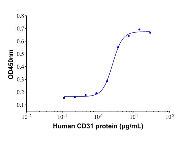 Recombinant Human CD31/PECAM-1 Protein,Recombinant Human CD31/PECAM-1 Protein