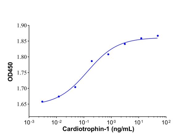 Recombinant Human Cardiotrophin-1 Protein,Recombinant Human Cardiotrophin-1 Protein