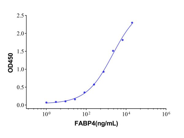 Recombinant Human FABP4 Protein,Recombinant Human FABP4 Protein