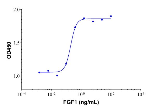 Recombinant human FGF1 protein,Recombinant human FGF1 protein