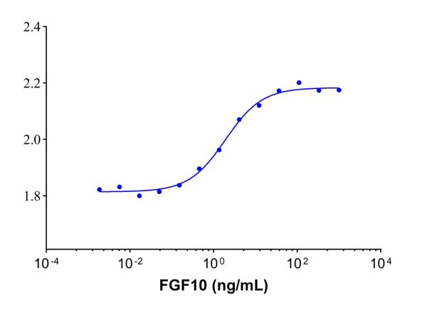 Recombinant Human FGF10 Protein,Recombinant human FGF10 protein (Active)