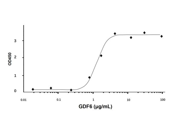 Recombinant Human GDF6 Protein,Recombinant Human GDF6 Protein