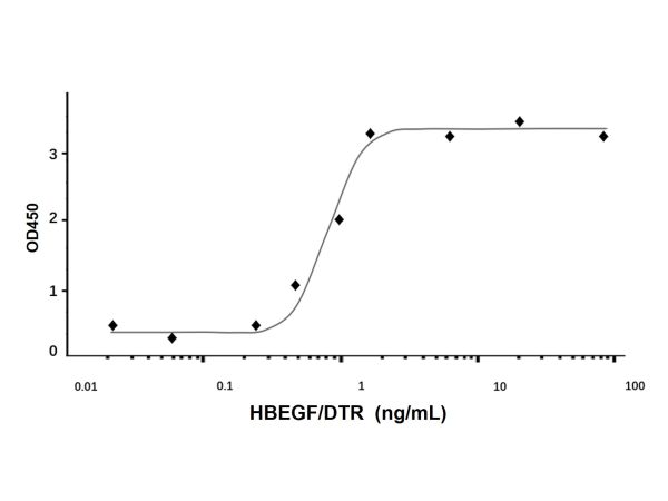 Recombinant Human HBEGF/DTR Protein,Recombinant Human HBEGF/DTR Protein