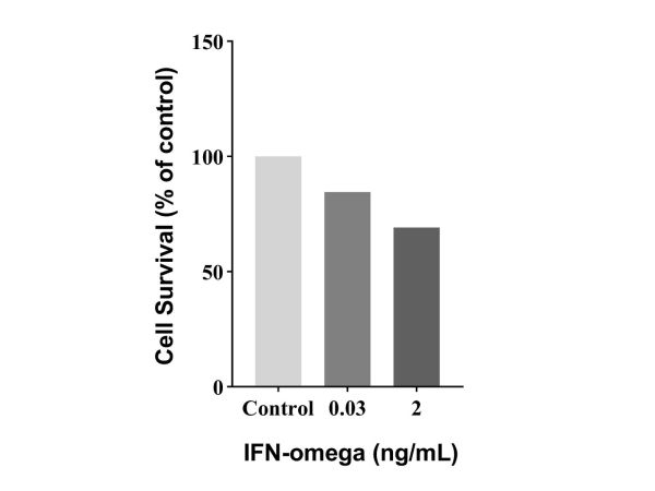 Recombinant Human IFN-omega Protein,Recombinant Human IFN-omega Protein