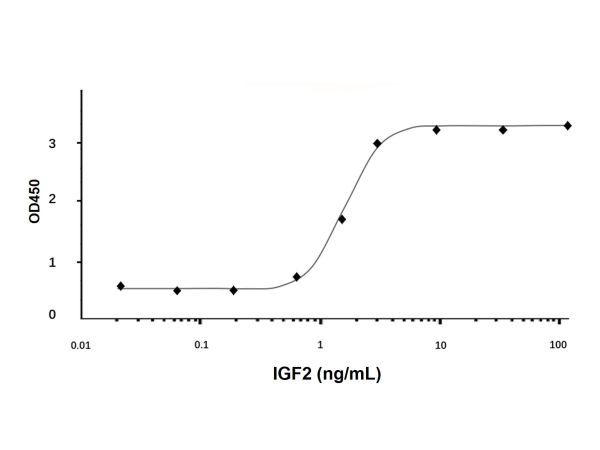 Recombinant Human IGF2 Protein,Recombinant Human IGF2 Protein