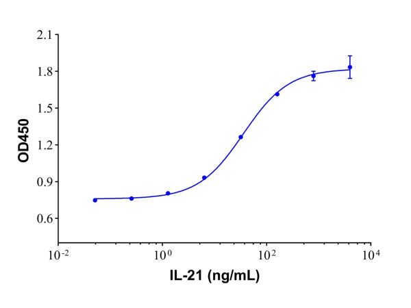 Recombinant Human IL-21 Protein,Recombinant Human IL-21 Protein